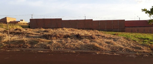 Imagem 7 de 9 de Terreno À Venda, 287 M² Por R$ 90.000 - Centro - Brodowski/sp - Te0262
