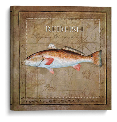 Canvas Lab Cuadro Ocean Fish Ix 70x70, Beth Anne Creative