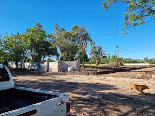 Imagen 5 de 15 de Venta Terreno - Melchor Romero