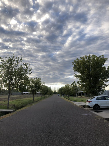 Terreno En Venta En Barrio Privado Viñas Del Sur - San Rafael - Mendoza