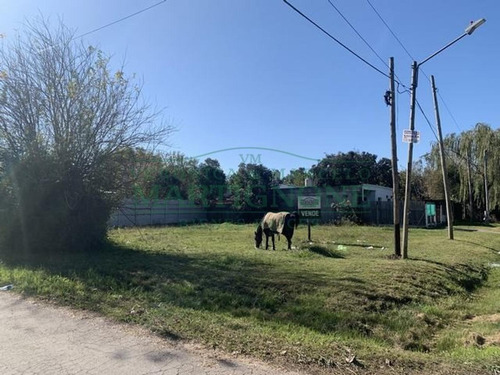 Imagen 2 de 7 de Terreno En Venta En Manzanares Pilar