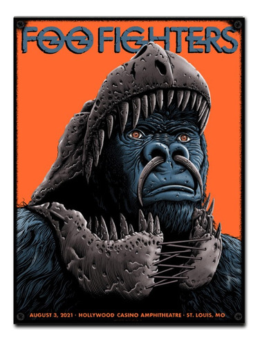 #724 - Cuadro Decorativo Vintage - Foo Fighters Poster Rock