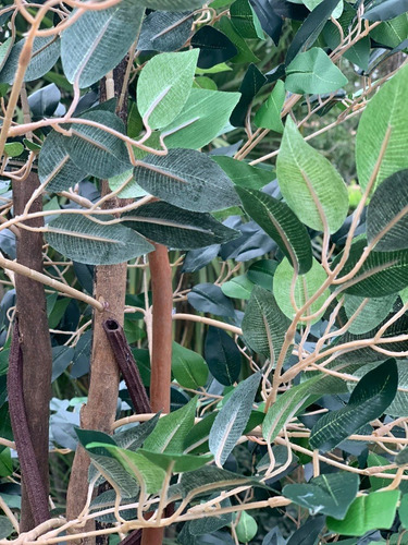 Ficus Árbol Planta Artificial Grande Exterior 2.40 Mts