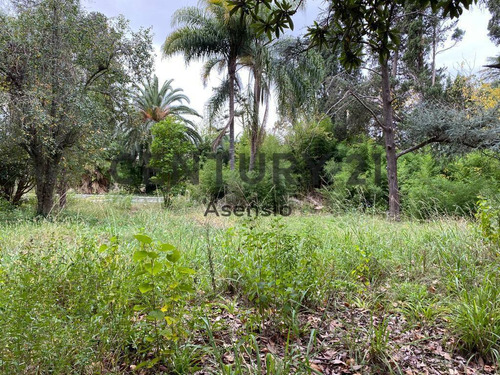Imagen 3 de 11 de Lote Para Desarrollo