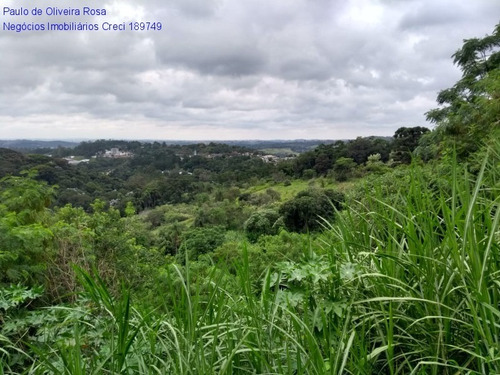 Imagem 15 de 22 de Terreno - Te00049 - 69287773