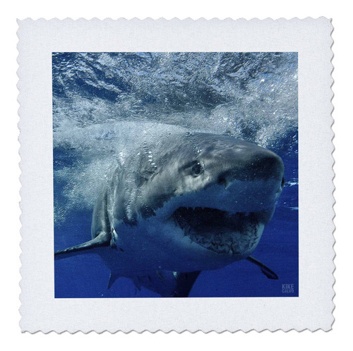 Qs _ 10587 Kike Calvo Shark  Gran Tiburon Blanco Colcha
