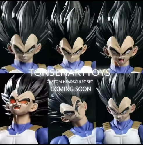 Rostros De Vegeta Estado Base Tonsenarttoy