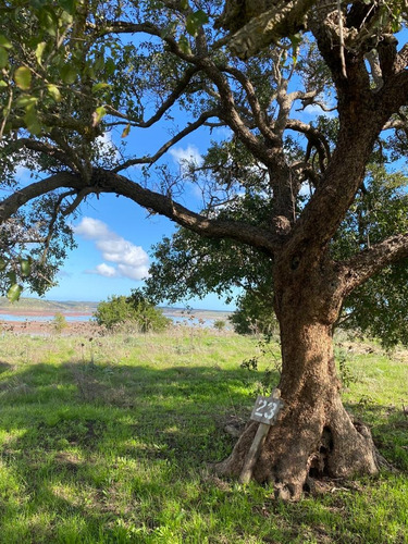 Lindo Sitio/ Vista Privilegiada