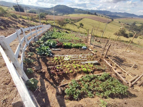 Imagem 8 de 24 de Chácara Com 3 Dormitórios À Venda, 22080 M² Por R$ 550.000,00 - Estância Santa Maria Do Laranjal - Atibaia/sp - Ch0012