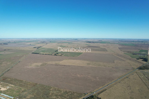 Imagen 11 de 27 de Terreno Campo En Venta En Carmen De Areco, Resto De La Provincia, Buenos Aires