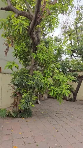 Casa En Renta Contry