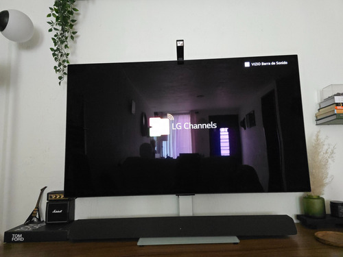 Lg Oled Evo C2 - Tv Smart 48 4k Uhd Gamer (Usado)