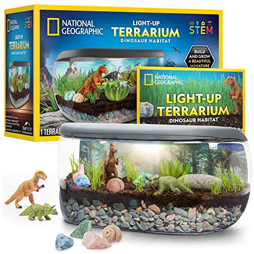 Kit De Terrario Luces Niños, Kit De Hábitat De Dinosa...