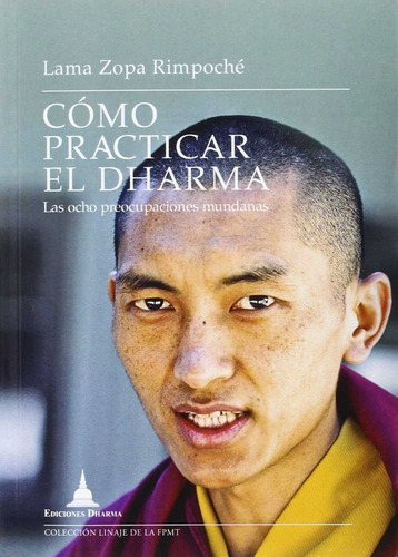 Meditacion La Felicidad Callada, De Manzanera Juan. Editorial Ediciones Dharma, Tapa Blanda En Español