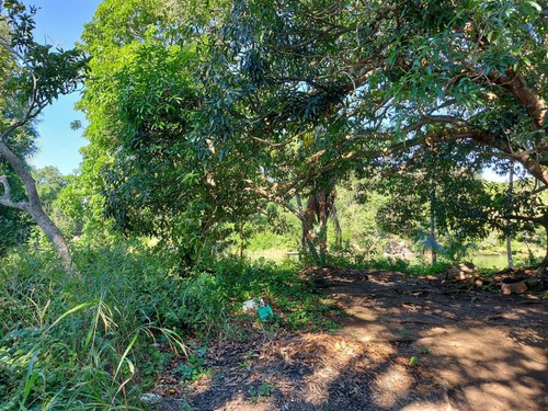 Venta Terreno 1538 M² Col. Juana Moza Tuxpan Veracruz