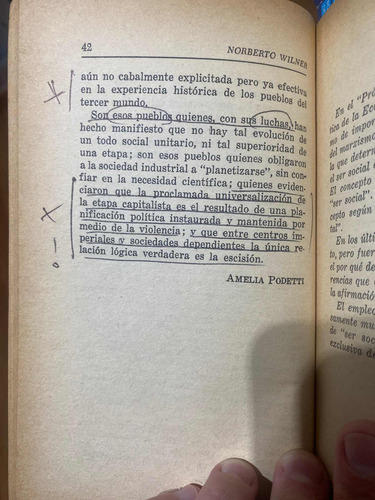 Ser Social Y Tercer Mundo Wilner Prólogo Amelia Podetti (Usado)