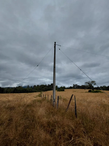 Espectacular Campo De 200 Hectareas En Loncoche