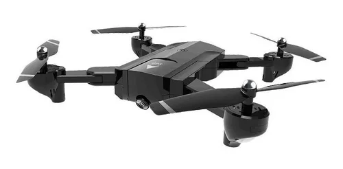 Sharks 2024 selfie drone