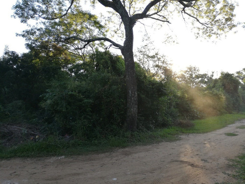 Imagen 7 de 13 de Gran Esquina Con Encanto Natural, Paso De La Patria