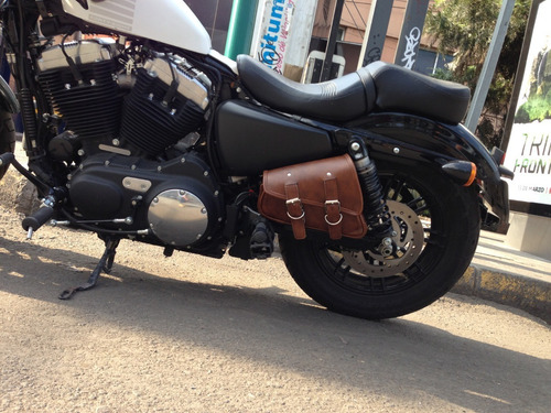 Imagen 2 de 8 de Alforja Basculante Para Sportster