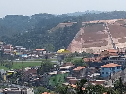 Imagem 15 de 19 de Terreno - Te00043 - 68500788