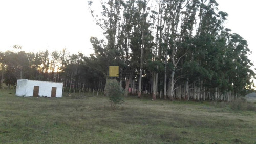 Imagen 10 de 13 de Venta De Chacra De 3has En Ruta 12