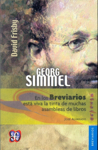 Georg Simmel - David Frisby