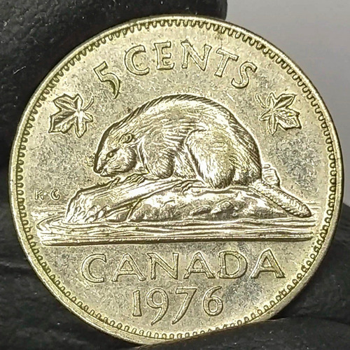 Canada 5 Cents 1976 Antigua Moneda Colección (Usado)