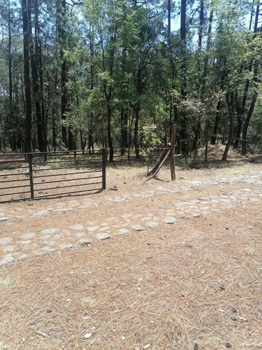 Terreno Excelente Ubicación Fraccionamiento San Francisco En Huasca
