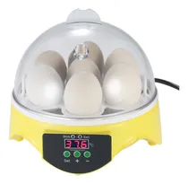 Comprar Brooders Temperature Eggs Ac110v Eggs Mini Duck.bird