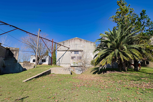 Venta Bodega O Deposito 10 Hectareas, Toledo Chico