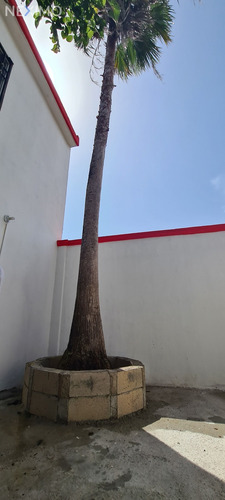 Imagen 2 de 11 de Venta De Casa Playa Del Carmen, Quintana Roo