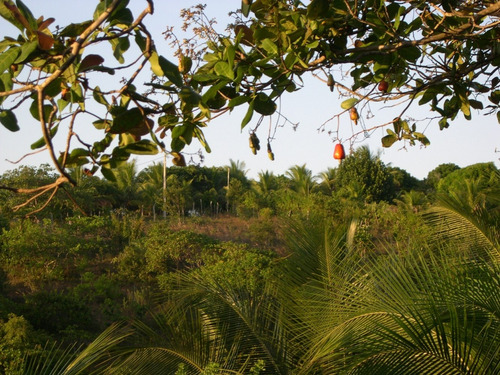 Imagem 7 de 7 de Vendo Terreno Na Bahia (linha Verde/estrada Do Coco)