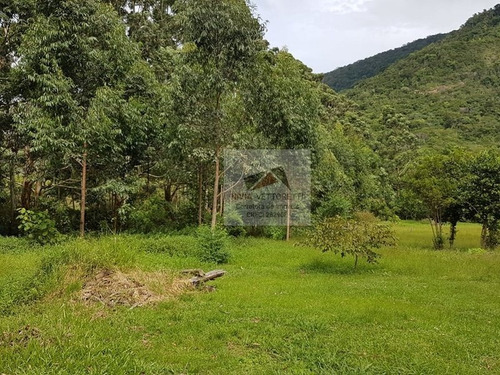 Imagem 7 de 20 de Terreno A Venda No Bairro Ingleses Do Rio Vermelho Em - 4334-1