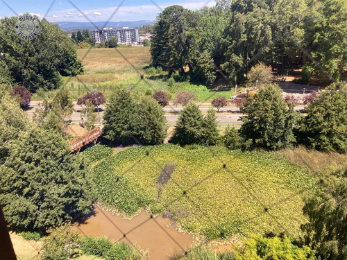 Venta De Amplio Departamento En Sector Privilegiado Valdivia