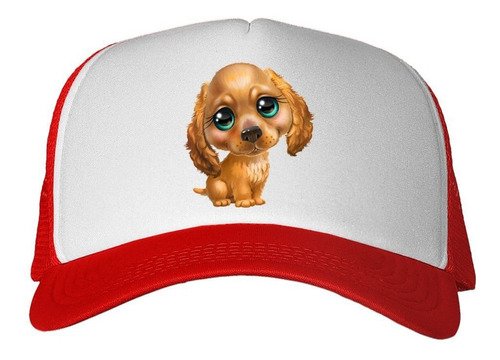 Gorra Dog Perro Cocker Ojitos Tierno