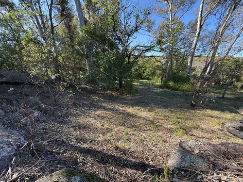 Terreno En Venta Con Costa De Rio - 3990 Metros - Escritura