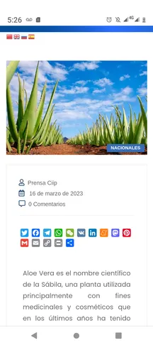 Sábila Aloe Vera Orgánica