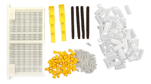 Kit De Crianza De Abejas Queen Bee, Juego De Marcos Para Cel