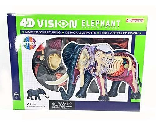 Juego Educativo De Cienci 4d Vision Elephant Anatomy Model -