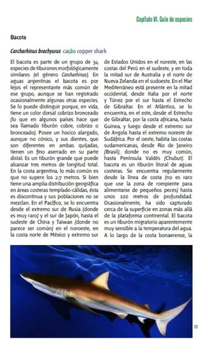 Irigoyen Peces Y Pesca Deportiva Argentina - Mar Y Patagonia