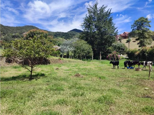 Vendo Lote La Ceja Via Rionegro Sector El Yarumo 6.125 M2