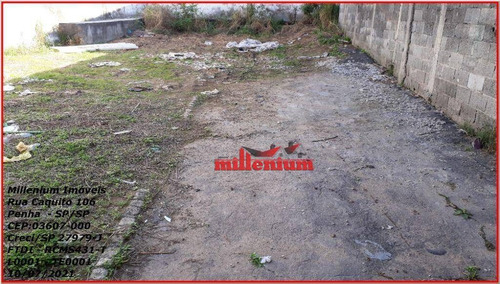 Imagem 11 de 11 de Terreno Para Alugar, 223 M² Por R$ 1.500,00/mês - Parque Boturussu - São Paulo/sp - Te0001