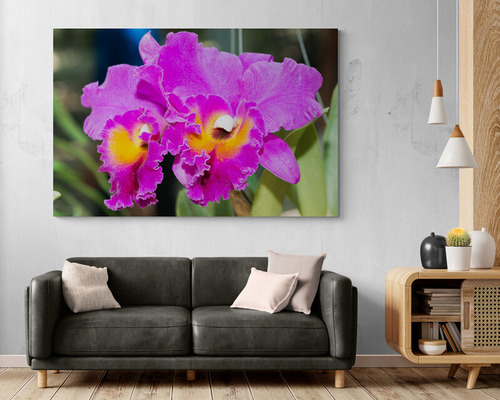 Cuadro En Lienzo Tayrona Store De Orquideas 001 50x35cm