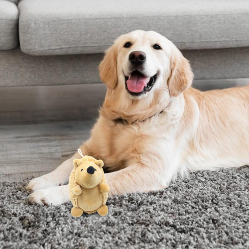 Perro Chirriante Erizo Juguetes Para Masticar Cachorros Para