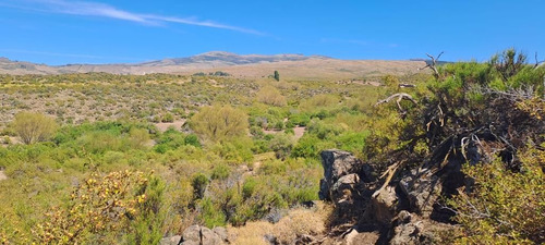 Venta Campo Aluminé