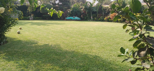 Palmeras De Condorhuaca Eventos Full Day 3000mts2.