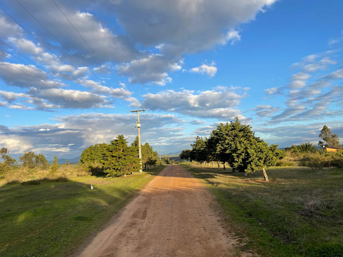 Venta De Parcelas, 5.000 Mts2, Con Agua Y Luz, En Algarrobo