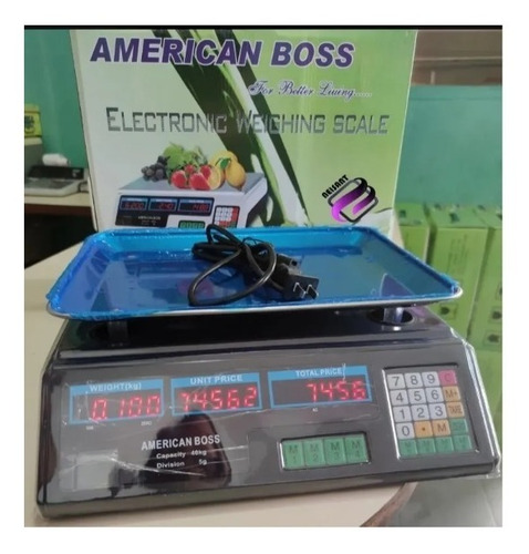 Balanza Electrónica Capacidad 40 Kg