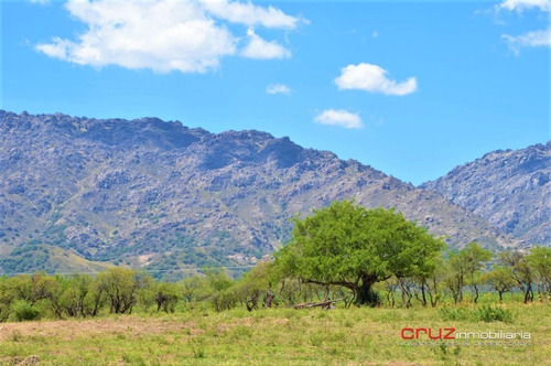 Imagen 7 de 14 de Lote En Venta 1000m2 Merlo San Luis Villa Larca